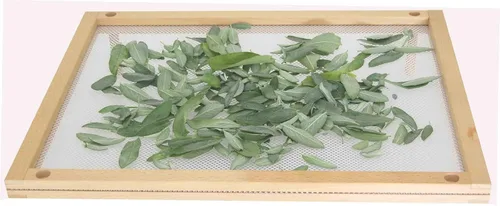 Vista 4 de Eppicotispai Secador de alimentos apilable de madera de haya con red