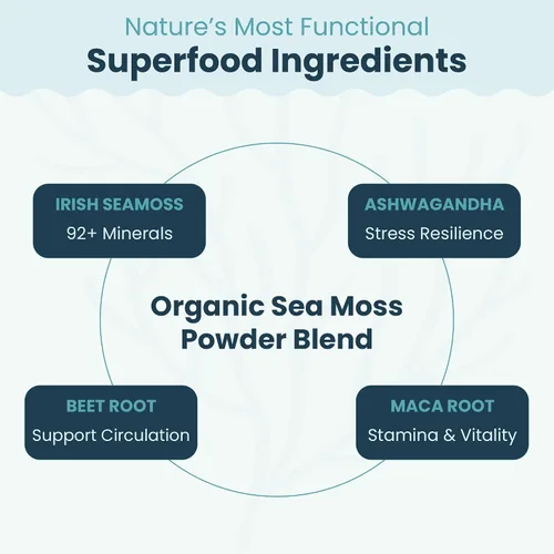 Vista 5 de Atlantic Naturals Superfood Mezcla de polvo de musgo marino orgánico con Ashwagandha, raíz de maca y raíz de remolacha Ideal para piel sana