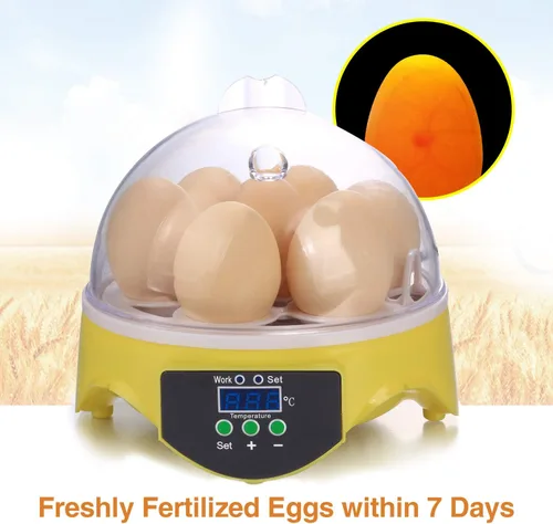 Vista 5 de Sailnovo Incubadora de huevos digital automática de pollo aves de corral incubadora de huevos, incubadoras para pájaros de codorniz de pato y ganso