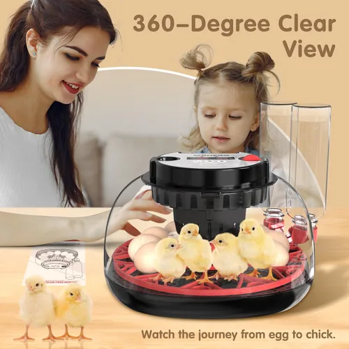 Vista 6 de Incubadoras para huevos para incubar huevos, 12 huevos con giro automático de huevos y control de humedad, visualización de 360° para pollo, patos