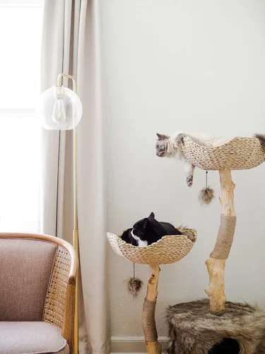 Vista 5 de Torre de Árbol para Gatos Moderna, Condominio de Lujo con Ramas Reales, Torre de Gatos de Madera, Árbol para Rascar Gatos, Condominio para Gatos