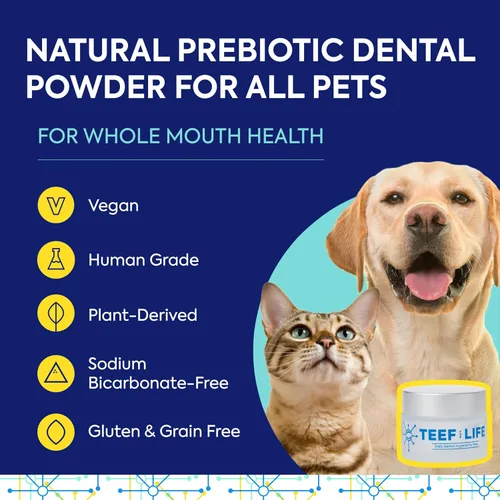Vista 2 de TEEF FOR LIFE Protektin42K Kit de polvo dental prebiótico para gatos