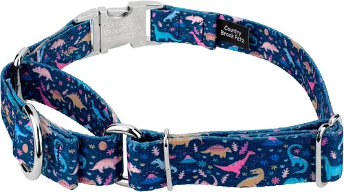Vista 3 de Country Brook Petz - Collar de perro Martingala de dinosaurios con hebilla premium - Colección Critter Corner con 6 diseños temáticos de criaturas