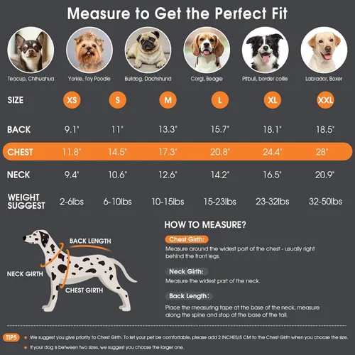 Vista 5 de Queenmore Suéter de invierno para cachorros – Suéter cálido de invierno para perros medianos y medianos, manga larga, cuello alto, azul, XS