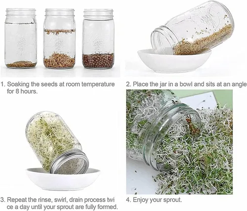 Vista 4 de Sprout Sprouting Mesh Strainer Shaker Tapas Kit para Tarro Mason Tapa Plata 2 Pack