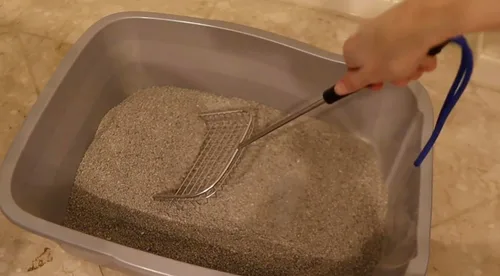 Vista 5 de Sand Dipper Recogedor de Excremento de Gato y Pollo - Resistente Grande de 6" Cuadrado de Acero Inoxidable con Mango Largo para Hogar, Recogedor