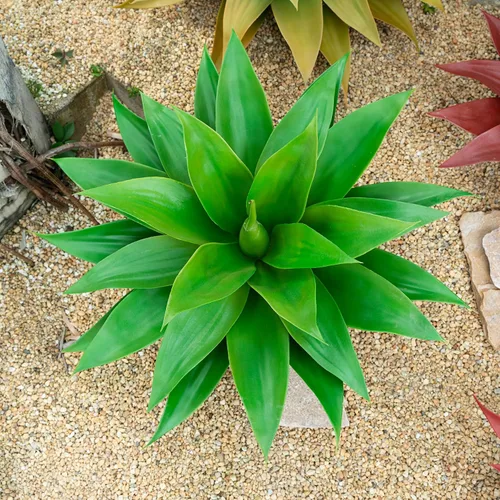 Vista 15 de Ttranewsoo Plantas Artificiales de Agave para Interiores, Resistentes a los Rayos UV, Maceteros Falsos de Agave para Decoración Exterior, Plantas
