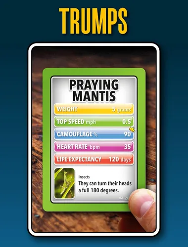 Vista 8 de SMART CARDS Animales Juego de cartas 7 juegos en 1 Snap, Rummy, pares y más Juego educativo de viaje A partir de 5 años, 1-8 jugadores