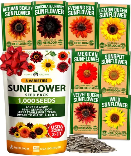 Vista 32 de HOME GROWN Semillas de zinnia rosa – 300 zinnias Luminosa 0.5g, semillas anuales de flores fáciles de cultivar para plantar al aire libre para 2026