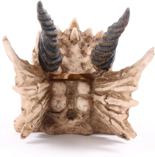 Vista 4 de Puckator DRG186 Dragon Skull Money Box 19 x 11 x 11 cm, Mixed, Height 11cm Width 11cm Length 19cm Slot 3.5cm