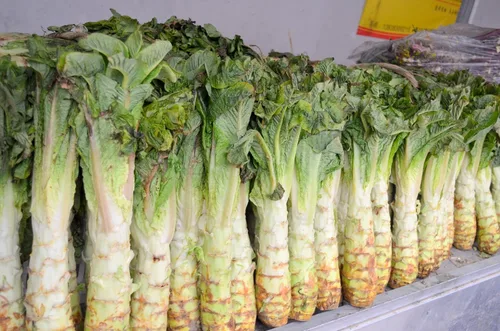 Vista 2 de Semillas lechuga espárragos Ensalada Uysun