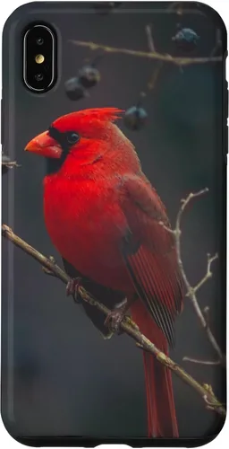 Vista 11 de Funda para iPhone 16 Cardinal Bird