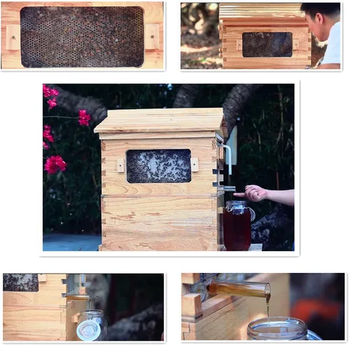 Vista 3 de LANGLANG Kit automático de casa de colmena de abejas de madera con 7 piezas mejoradas de marco automático peine, caja de colmena sin miel.