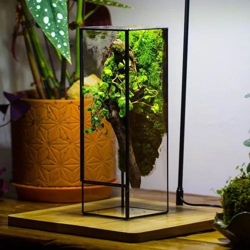Vista 3 de NCYP Terrario de cristal cerrado con puerta, 3.9 x 3.9 x 11.8 pulgadas, maceta rectangular alta para helechos, plantas suculentas, decoración