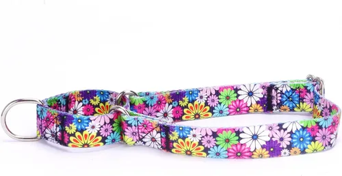 Vista 33 de Collar de perro de nailon resistente, collar ajustable de martingala para perros para caminar y entrenamiento para perros machos y hembras perros