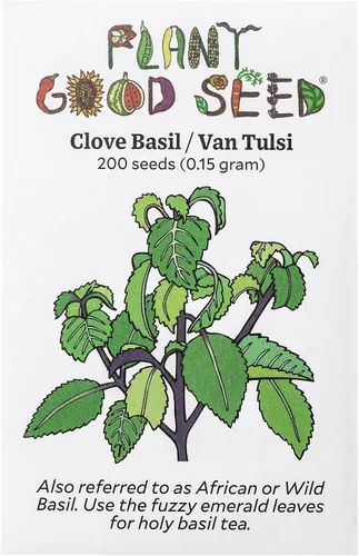 Vista 8 de Plant Good Seed Colección de semillas orgánicas de albahaca sagrada Tulsi, 3 paquetes/200 semillas cada una, semillas tradicionales de Kapoor, Rama