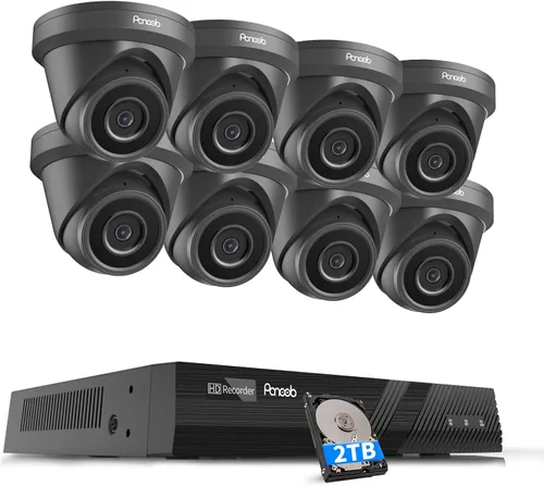 Vista 10 de Sistemas de cámaras de seguridad 4K 8CH con disco duro de 2 TB Negro