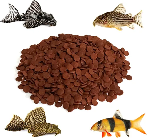 Vista 2 de Oblea roja de 0.315 in – Obleas de algas hundidas que proporcionan una dieta equilibrada para plecos, caracoles, gatos cory, bagre, camarones y 10