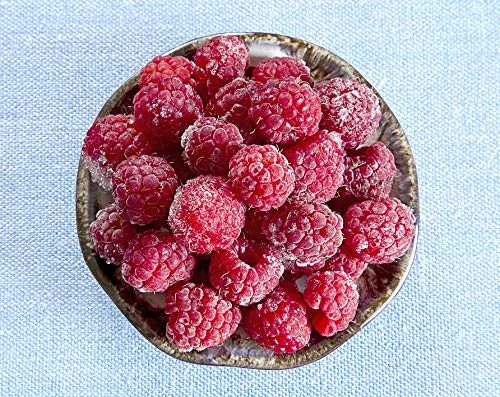 Vista 2 de Fruta congelada fresca de Northwest Wild Foods - bayas silvestres orgánicas, naturales, para una dieta saludable y antioxidante. Ideal para batidos