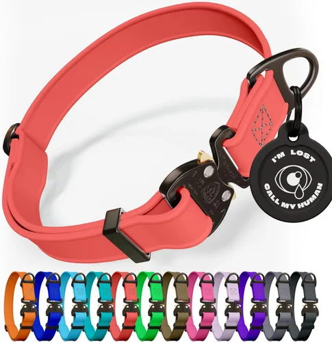 Vista 14 de Biothane - Collar de perro con hebilla de cobra, fabricado en Estados Unidos, etiqueta de identificación con código QR incluida, collares de perro