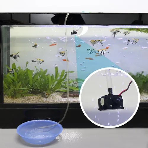 Vista 4 de Mountain ark Mini bomba de agua sumergible 240L/H 63 galones bomba anfibia para acuario jardín estanque caída fuentes hidropónicas