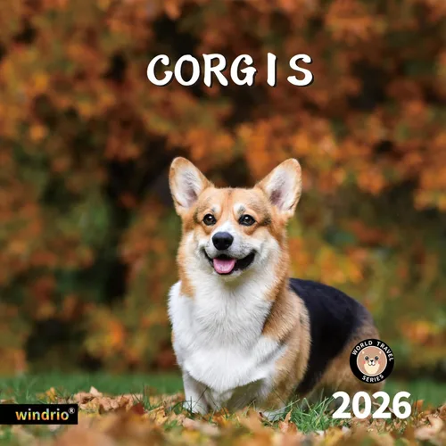 Vista 13 de Calendario de pared 2026, calendario 2026, noviembre de 2025 a diciembre de 2026, calendario de pared Beagles, 12 x 24 pulgadas abierto, página
