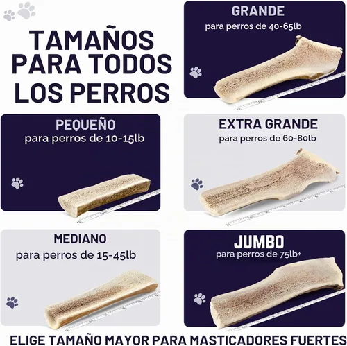 Vista 7 de Devil Dog Pet Co. Cuernos de alce divididos para perros, masticables naturales para perros con médula expuesta, larga duración y sin olor