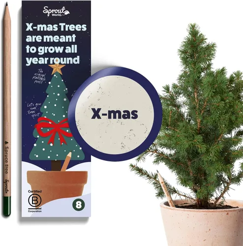 Vista 13 de Sprout Lápices de madera World Edición para profesores Lápices de madera plantables de grafito preafilados HB con semillas de flores, hierbas
