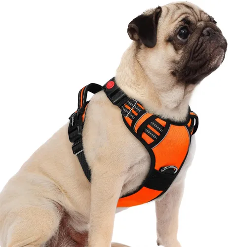 Vista 20 de Rabbitgoo - Arnés para perro de tamaño pequeño, sin tirones, 3 hebillas, fácil de poner y quitar Negro