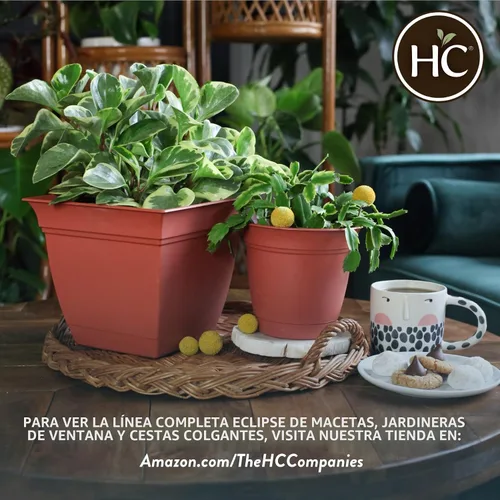 Vista 6 de The HC Companies Eclipse Maceta redonda de 6 pulgadas, con platillo, maceta para interiores y exteriores, para flores, verduras y hierbas, negro