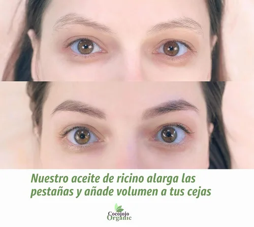 Vista 5 de cocojojo Aceite de ricino negro jamaicano puro refinado, prensado en frío (8 oz)