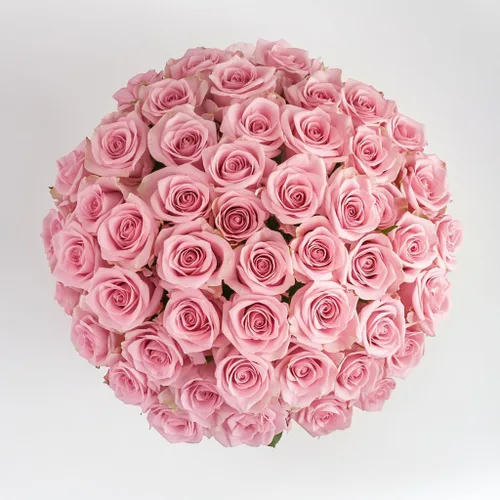 Vista 20 de GlobalRose Ramo de 50 rosas surtidas, rosas de origen responsable, flores frescas, ramo fresco de flores seleccionadas a mano para el día