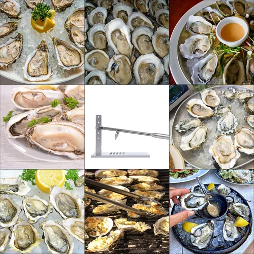 Vista 4 de Máquina Shucker de ostras, kit de shucking de almejas de ostras