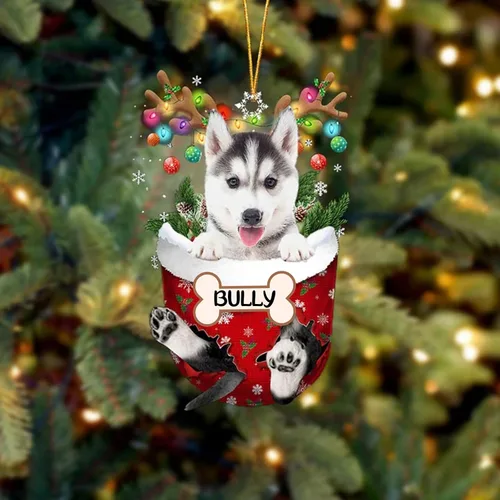 Vista 189 de IZI POD Affenpinscher Adorno de Navidad personalizado para perro, adorno de bolsillo de nieve para perro para árbol de Navidad, adorno acrílico