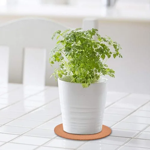Vista 4 de Paquete de 2 posavasos de corcho de 6 pulgadas, platillos redondos para plantas, salvamanteles para ollas y sartenes calientes, tapete absorbente