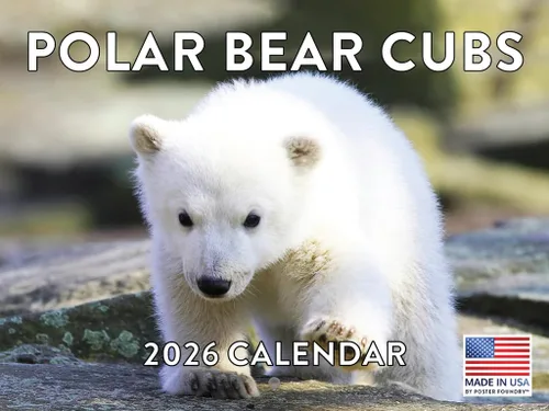 Vista 169 de Calendario mensual de pared de alpaca 2025 Fabricado en Estados Unidos