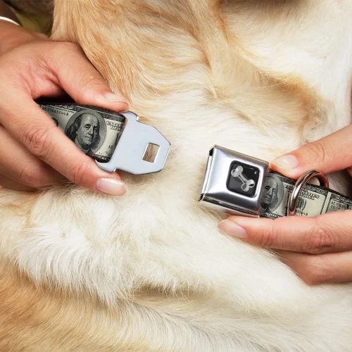 Vista 8 de Buckle-Down Collar de perro con hebilla de cinturón de seguridad, billetes de 100 dólares, 1 pulgada de ancho, se adapta a cuello de 9 a 15