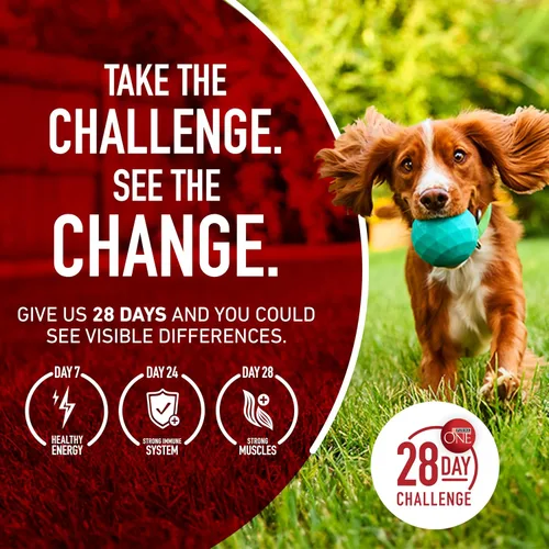 Vista 10 de Purina ONE Alimento seco natural para perros, fórmula SmartBlend de cordero y arroz, 16.5 libras Bolsa