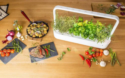 Vista 5 de Click and Grow Smart Garden - Cápsulas para plantas de tomillo, paquete de 3