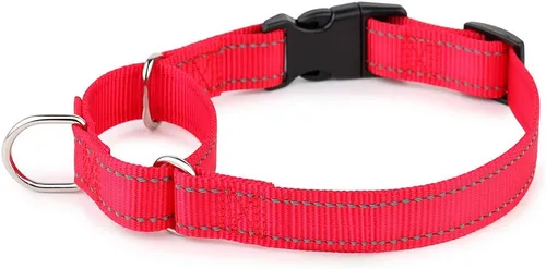 Vista 11 de Collar reflectante de martingala de Plutus Pet con hebilla - Collar de entrenamiento duradero y ajustable para evitar tirones, collar de gargantilla
