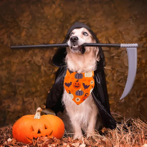 Vista 7 de Bandana de Halloween para perro, paquete de 2 baberos triangulares de algodón para perros, bufandas suaves y transpirables para mascotas