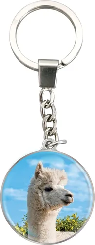 Vista 6 de Deluxebase Magnidome Llavero de domo en forma de cúpula con cadena de acero inoxidable. Llavero de cúpula de cristal