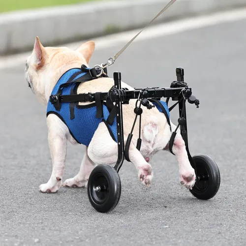 Vista 4 de Silla de ruedas ajustable para perros pequeños - Ayuda de movilidad para mascotas discapacitadas, Silla de ruedas para perros pequeños para patas