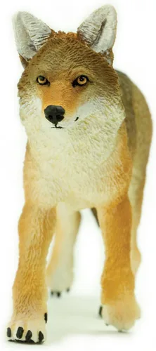Vista 5 de Safari Ltd. Figura de juguete Coyote – Figura detallada de plástico de 6.5 pulgadas – Divertido juguete educativo para niños, niñas y niños a partir