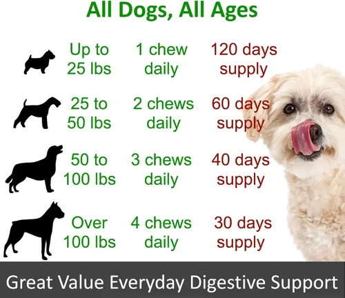Vista 5 de TummyWorks Probióticos para perros. 120 probióticos masticables suaves para salud digestiva, intestino, inmunidad, energía, alergias, piel y pelaje.