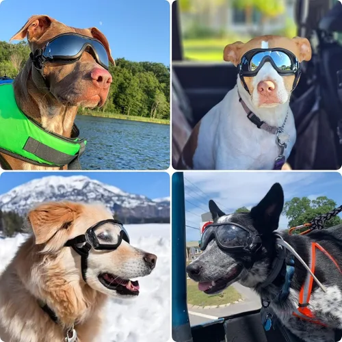Vista 2 de Gafas de sol para perros de razas grandes, juego de 2 piezas de protección UV negra y transparente, resistente al viento para perros medianos a