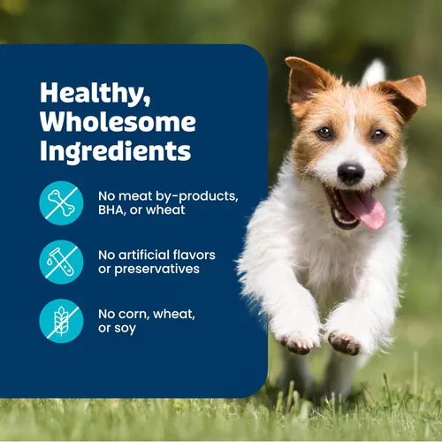 Vista 8 de Blue Buffalo Health Bars Galletas para Perros Crujientes, Horneadas al Horno con Ingredientes Naturales, Calabaza y Canela, Bolsa de 16 onzas