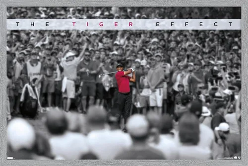 Vista 16 de Trends International Tiger Woods - Póster de pared con efecto tigre, 14.725 x 22.375 pulgadas, versión enmarcada de madera de granero Versión