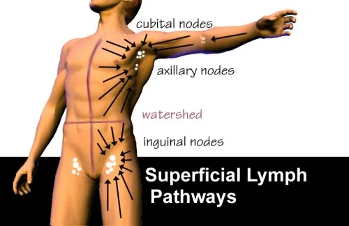 Vista 4 de Lymphatic Drainage Massage