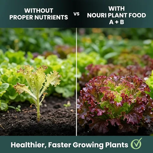 Vista 5 de Nouri Fertilizante líquido hidropónico para plantas de nutrientes A y B, sistema de cultivo hidropónico, accesorio para plantas